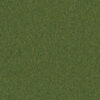 651-Graceful-Green